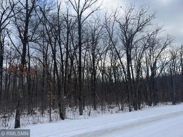 43rd Ave NW, Walker, MN 56484