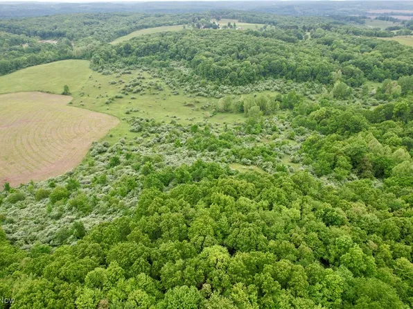 44312 Cream Ridge Rd, Lisbon, OH 44432