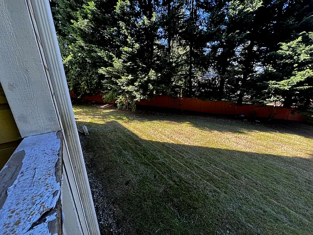 Backyard View 2