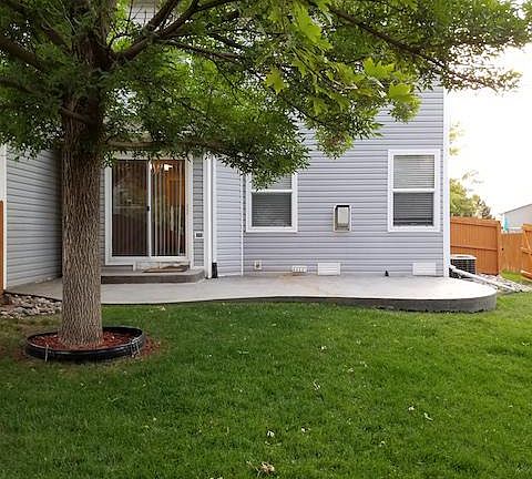 Back Door and Patio