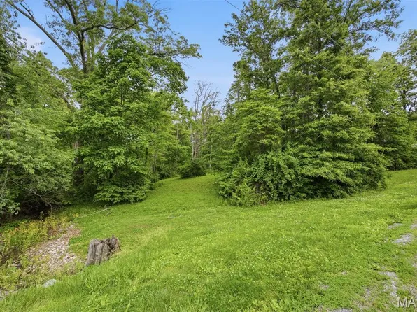 Xxx Joseph Dr, Pocahontas, IL 62275