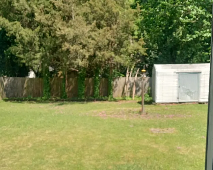 1310 Holden St — Photo 10