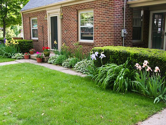 Plentiful perrenials