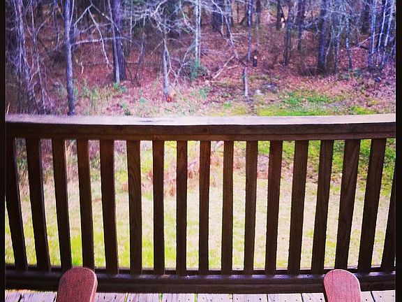 scene from garden shedporch