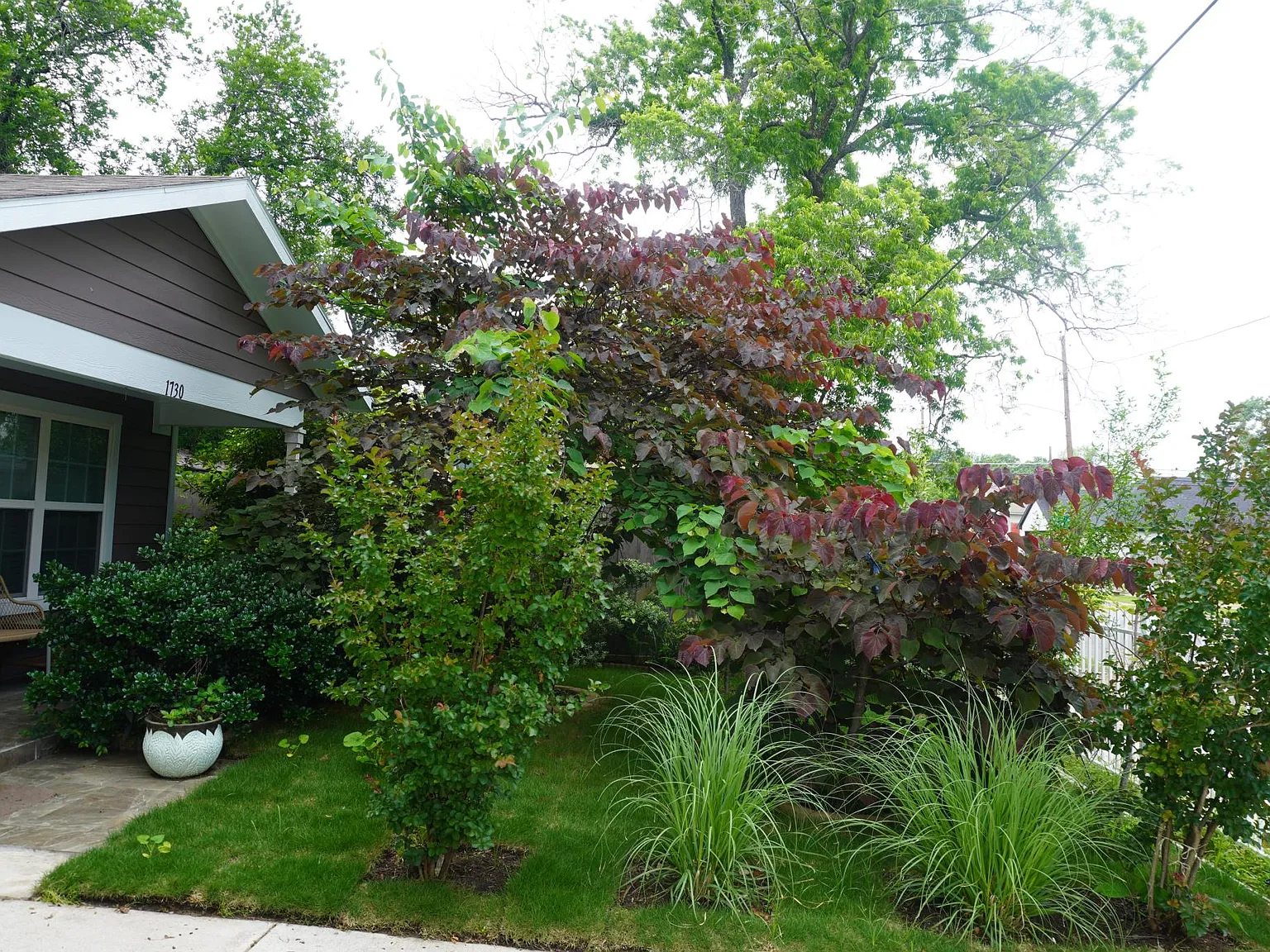 4 bed, 1584 sqft, $3,295 — Photo 3