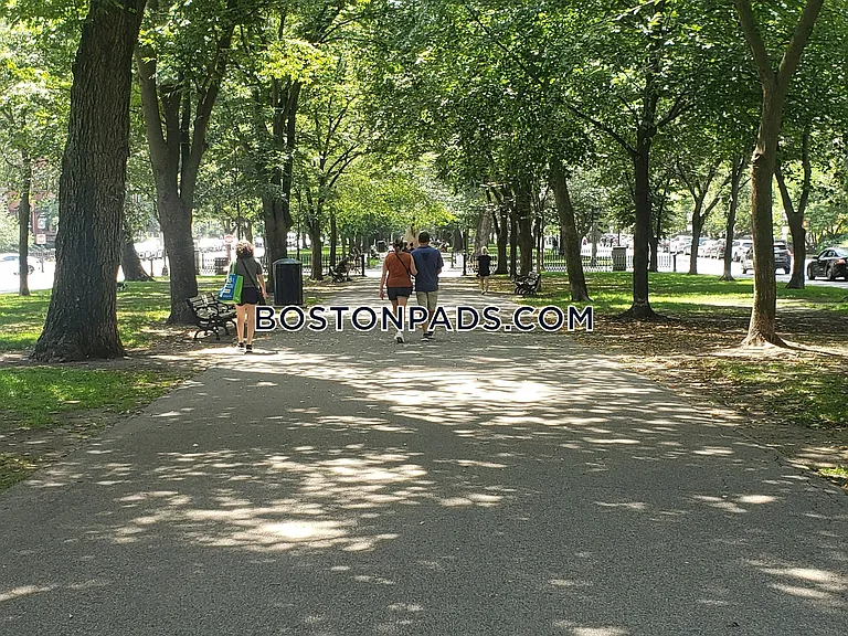 186 Commonwealth Ave #B2 — Photo 15
