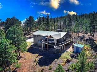 81 Fir Ln, Bailey, CO 80421