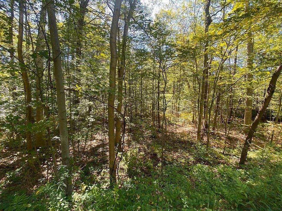 2nd image of 45 Fox Hill Rd