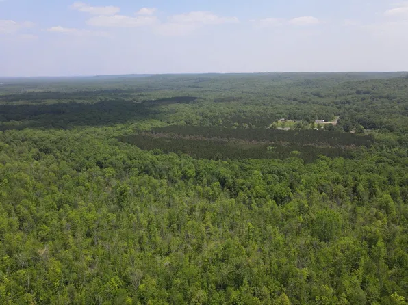 Traverse Rd, Thompsonville, MI 49683