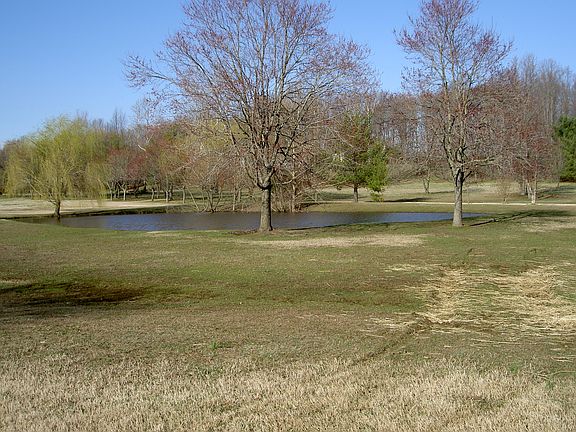 Pond