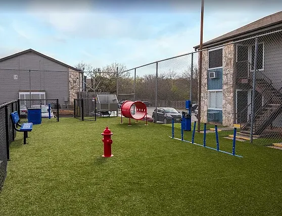 Dog Park