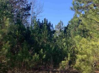 0 Piney Grove Church Rd #3, Siler City, NC 27344