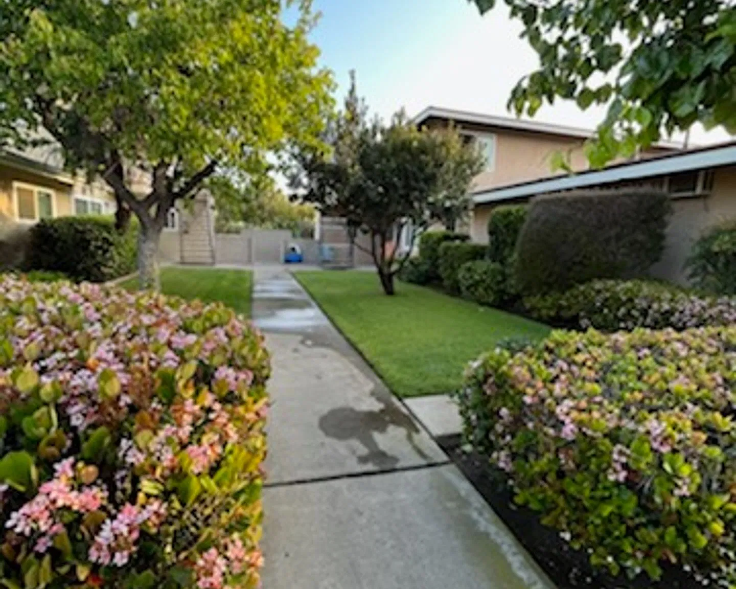 1630 Coriander Drive — Photo 3