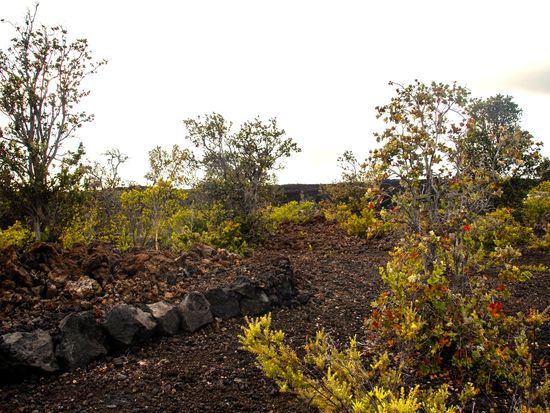 92-2336 Sea Breeze Pkwy Lot 9, Captain Cook, HI 96704