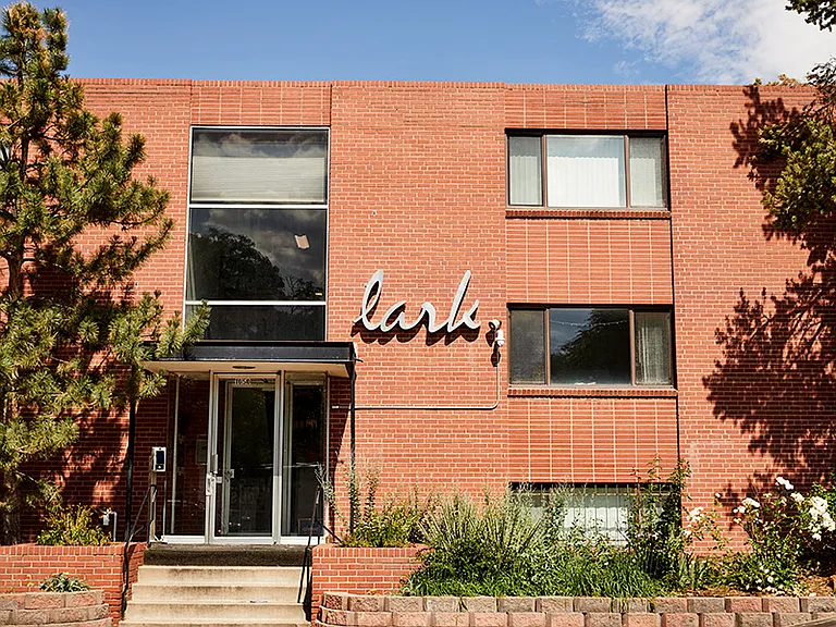 The Lark — Photo 6