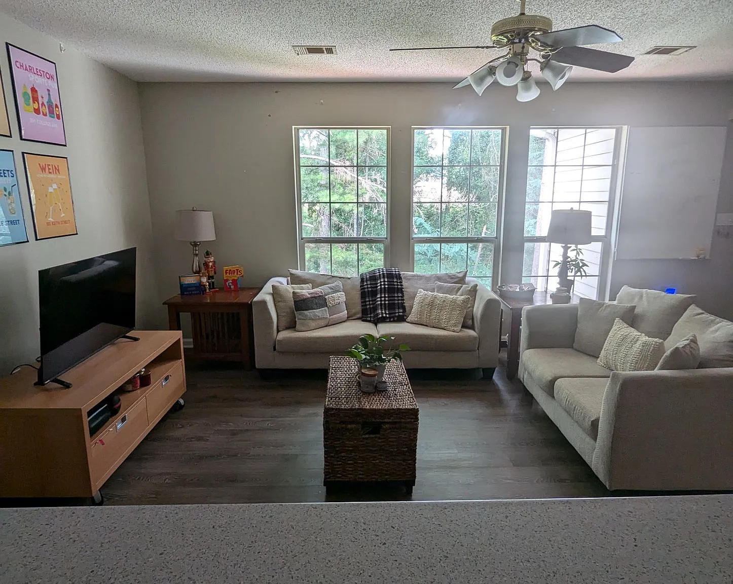 155 Anderson Hwy Unit 733, Clemson — Photo 4