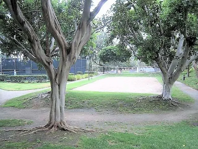 Community park and recreational center
