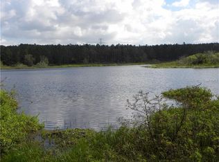 Canoe Crossing Ct, Clermont, FL 34715