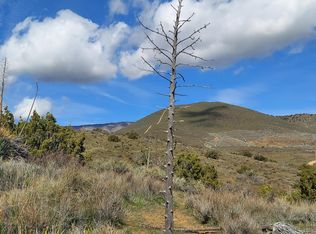 34401 Governor Mine Rd, Acton, CA 93510