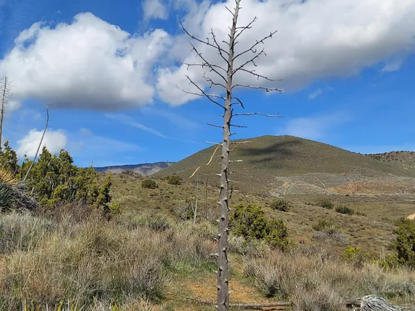 34401 Governor Mine Rd, Acton, CA 93510