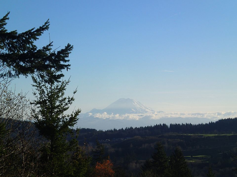 Mt Rainier View