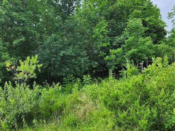 9 E Ridgewood Cir, Linn Valley, KS 66040