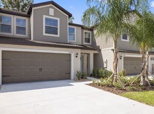 1746 Roseville St, Lutz, FL 33549