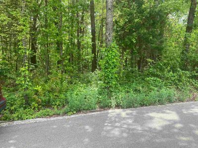 144 Elm St, Pineville, AR, 72566