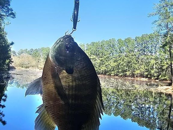 3rd image of 30569 Lake Rd