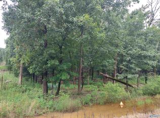 W Lacon Rd, Falkville, AL 35622