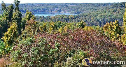 view of lake from back of house