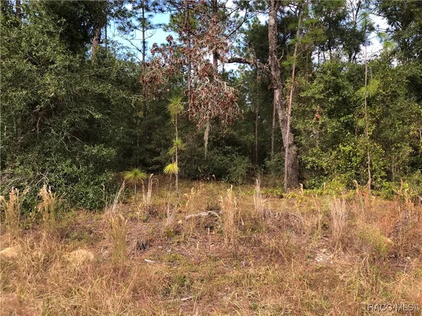 0 SW 45 St, Ocala, FL 34481