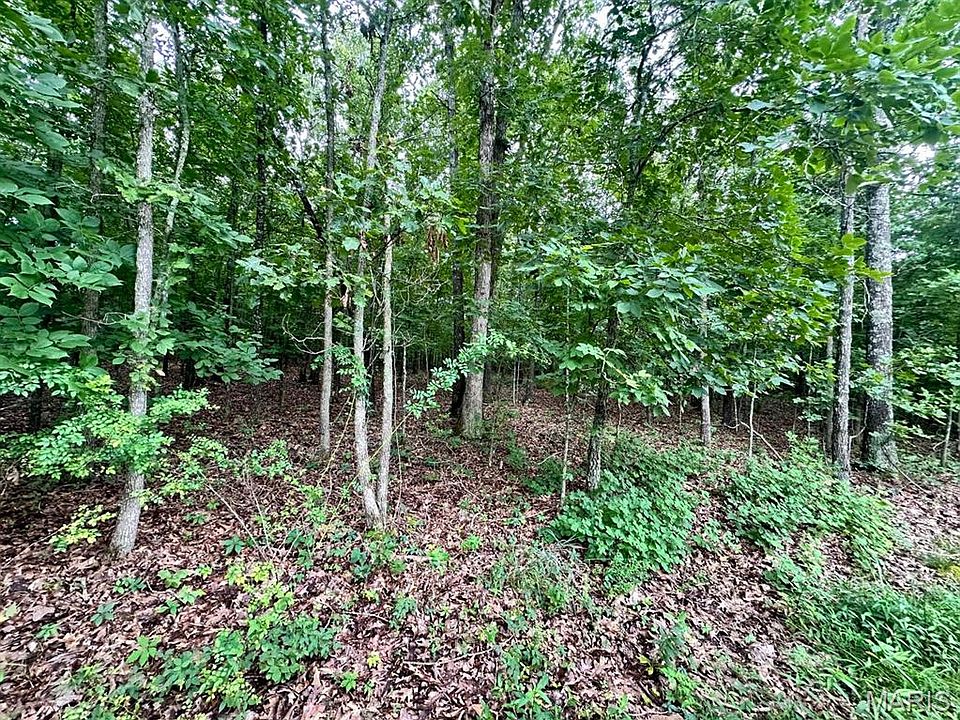 2nd image of 0 County Road 4180 Lot 1