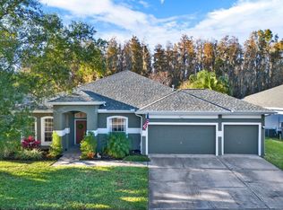 28701 Falling Leaves Way, Zephyrhills, FL 33543