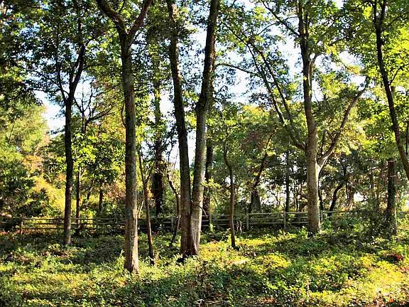 2nd image of 5106 Bucks Bluff Dr. LOT 783