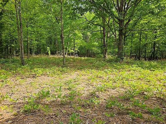 5th image of 664 Pond Rd