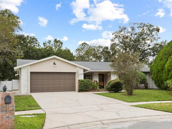 15804 IRONWARE PLACE, TAMPA, FL 33624
