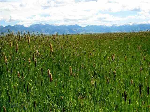 2nd image of Tbd Sales Rd