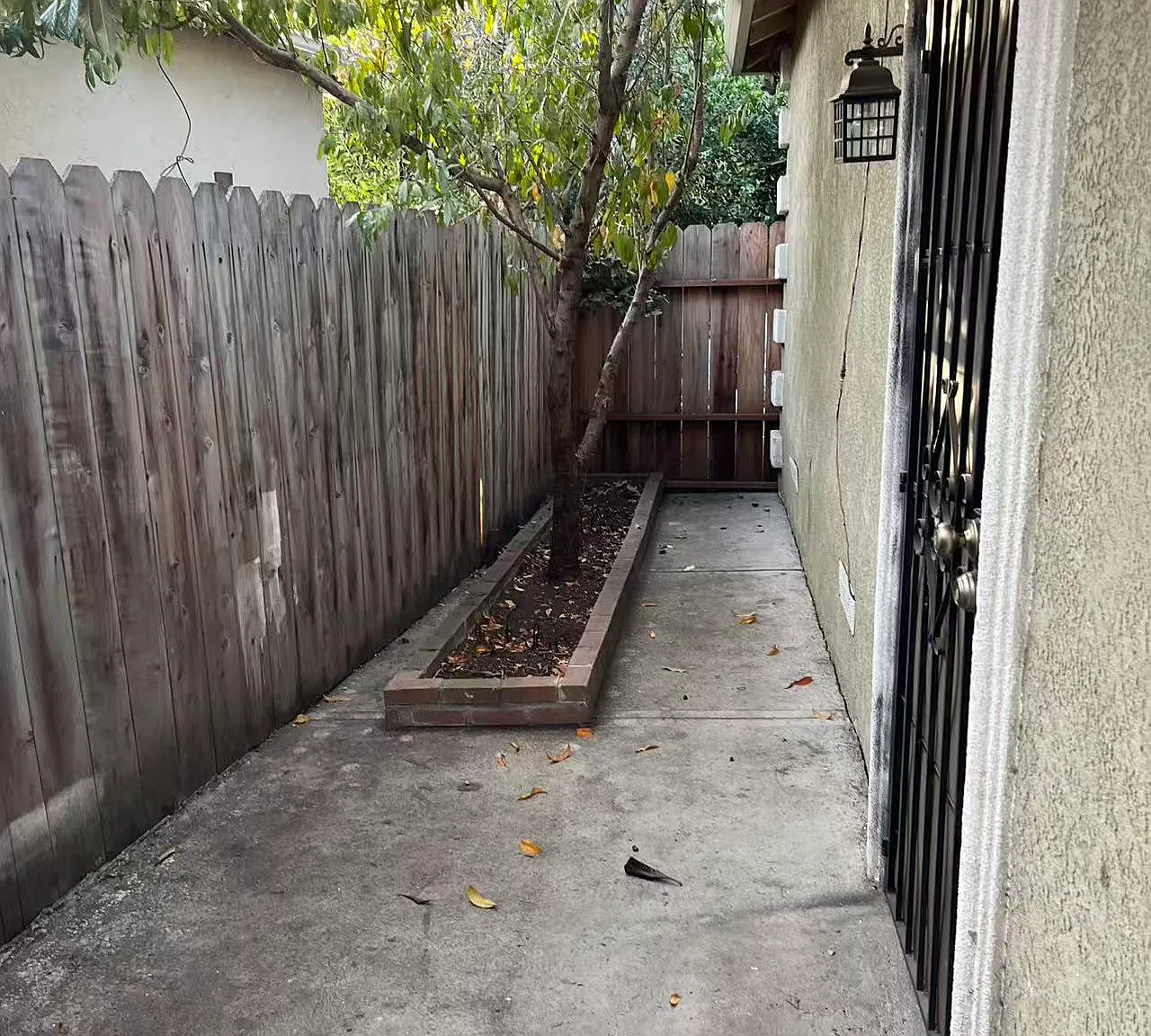 1 bed, 700 sqft, $1,800 — Photo 3