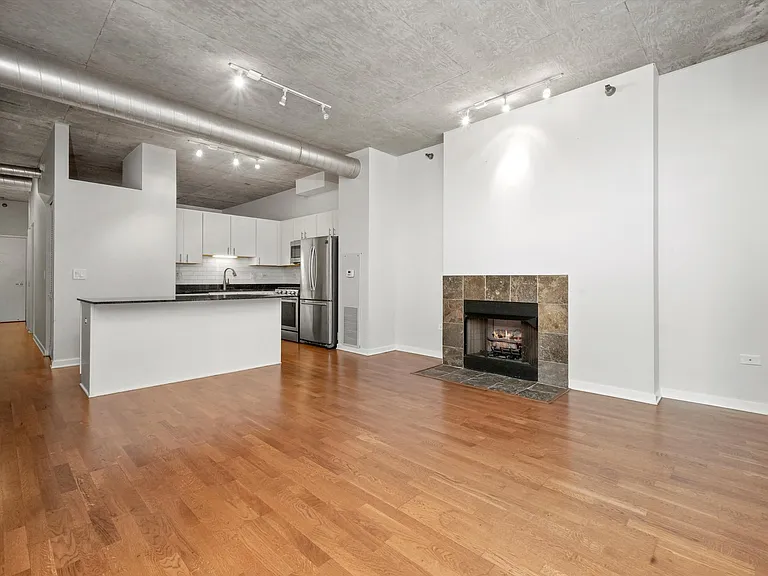 700 N Larrabee St #1004 — Photo 4