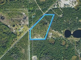 NE 115th Lane Rd LOT 1, Fort Mc Coy, FL 32134