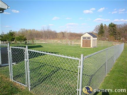 backyard and shed