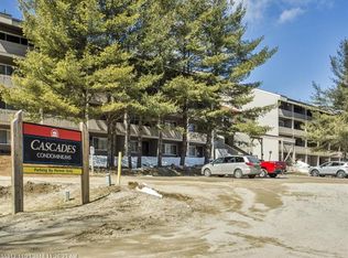 8 Cascade Dr #C11, Newry, ME 04261