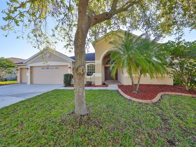 13719 Artesa Bell Dr, Riverview, FL, 33579