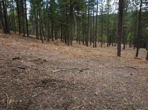 47171 Old Highway Rd, Quincy, CA 95971