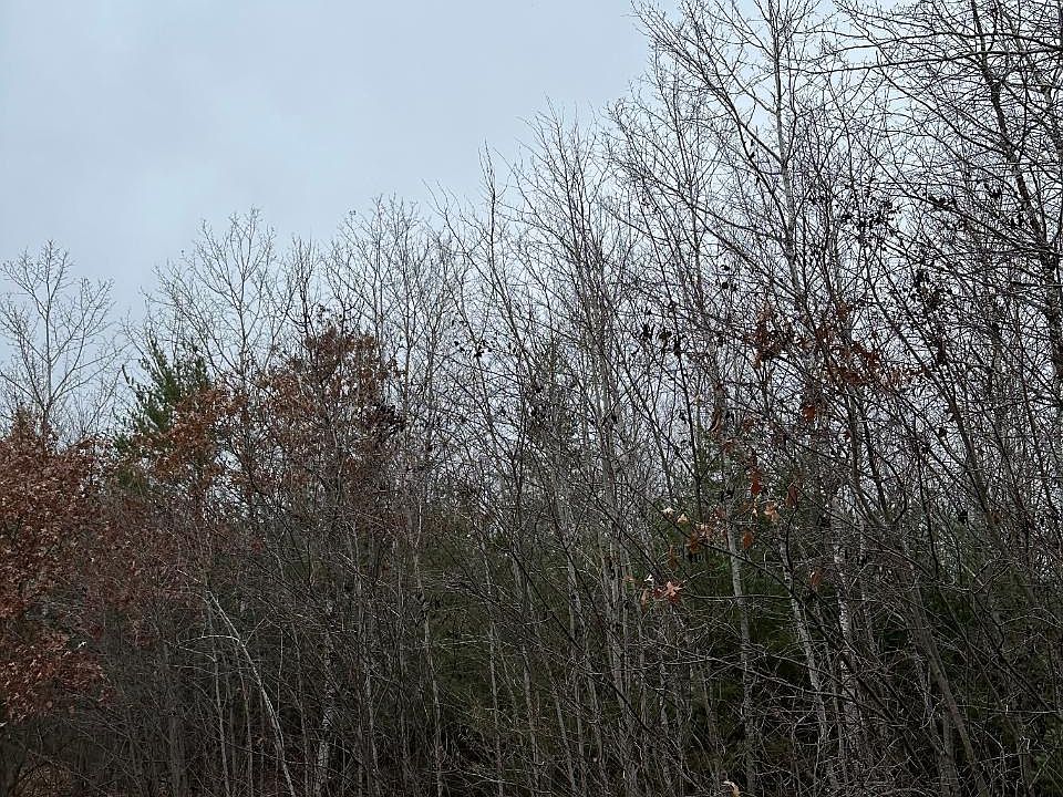 2nd image of Swamp Creek Rd #4069-4