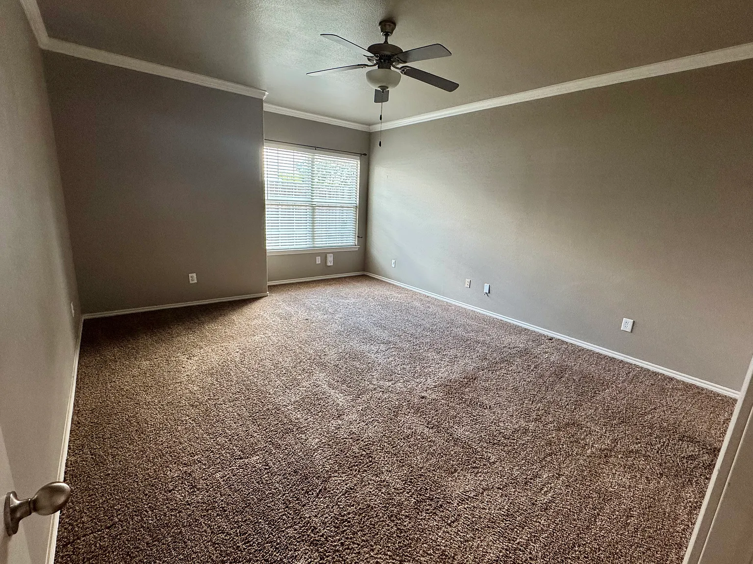 323 Silvercreek Dr — Photo 4