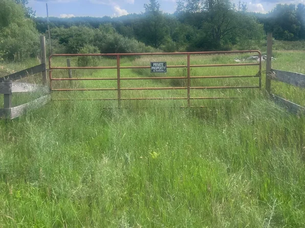 W Pickard Rd, Remus, MI 49340