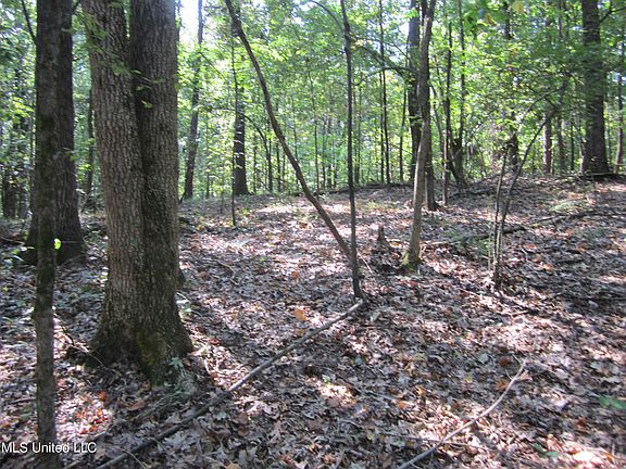 4th image of Leonard Ln