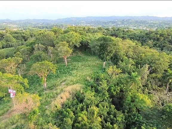 5th image of Palmar Novoa